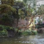 OTRA2014_0834 (August 29, 2014)